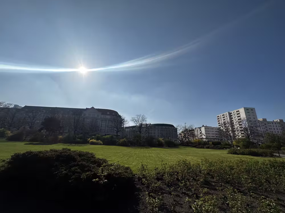 Sun flare over a park