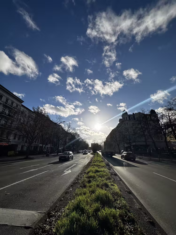 Sunburst over a wide avenue