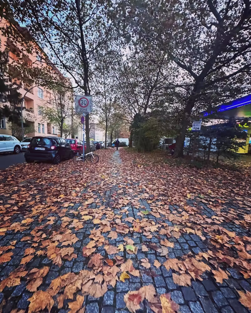 Fallen leaves covering a cobbled street