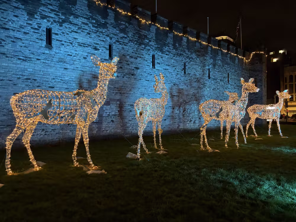 Light-up deer by the castle wall