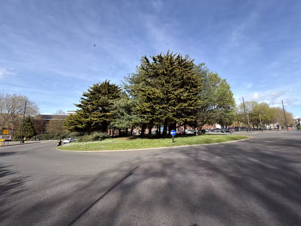 Trees on a roundabout