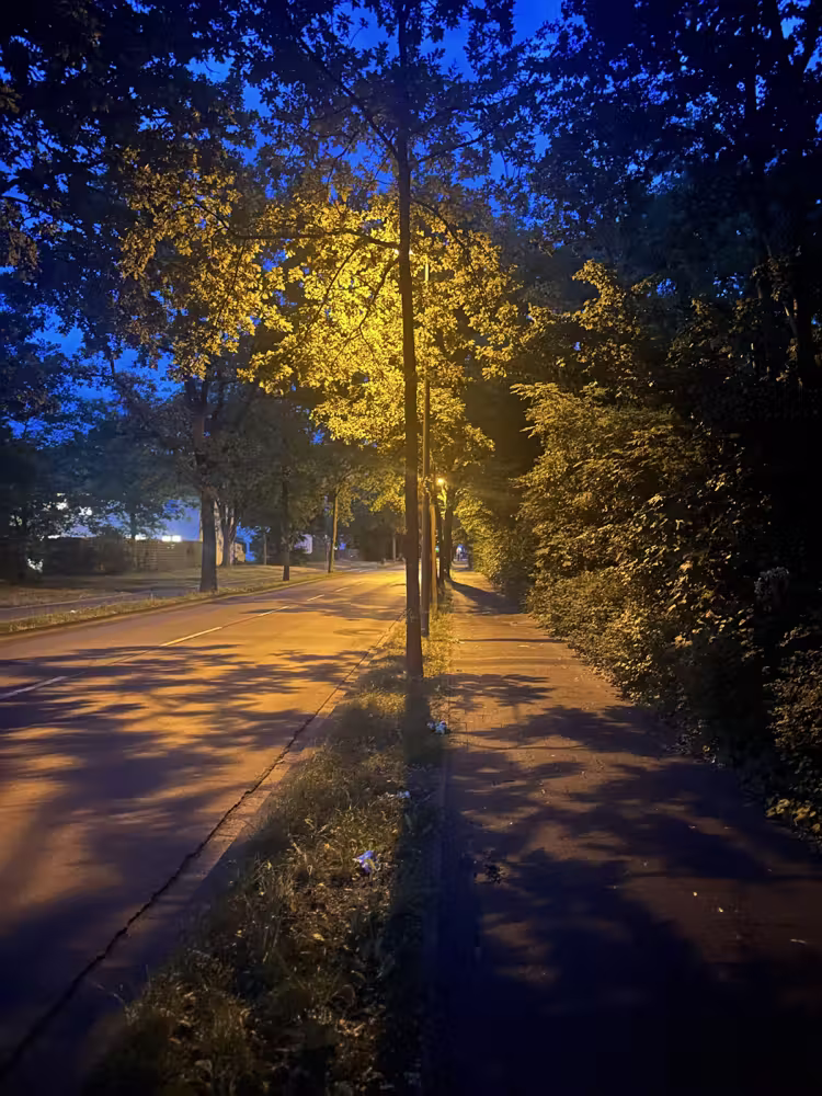 Street lamp glowing through the trees at night