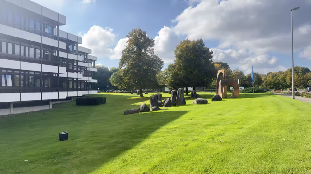 Sculptures on a lawn by an office building