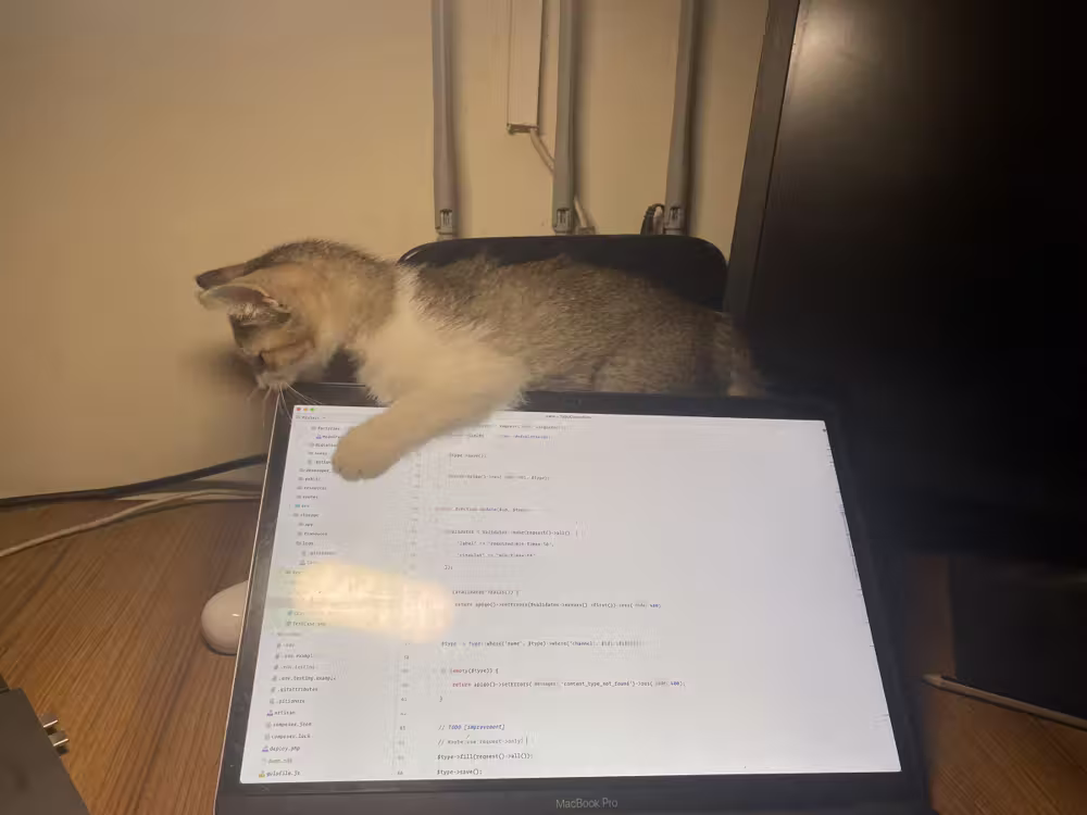 Kitten climbing over a laptop on the desk