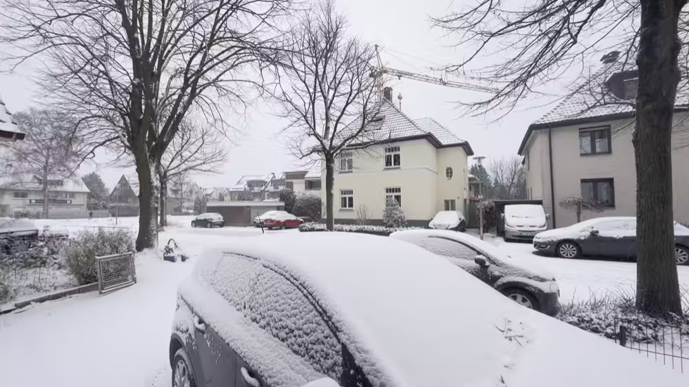 Snow on the cars and trees