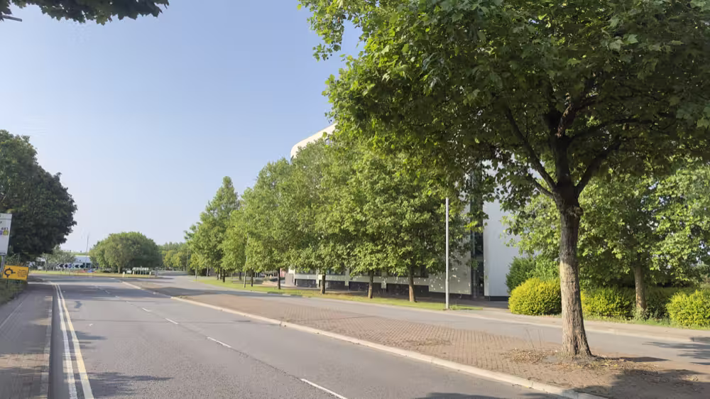 Tree-lined road