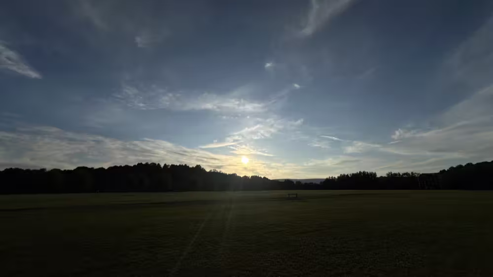 Sun low over a field