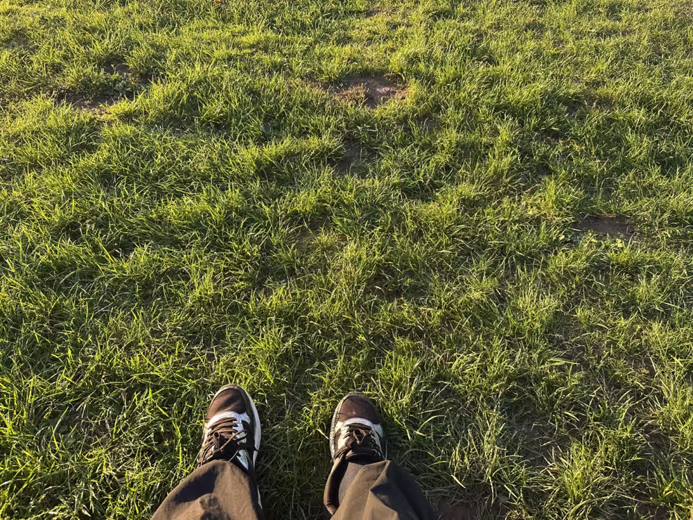 My feet in the grass