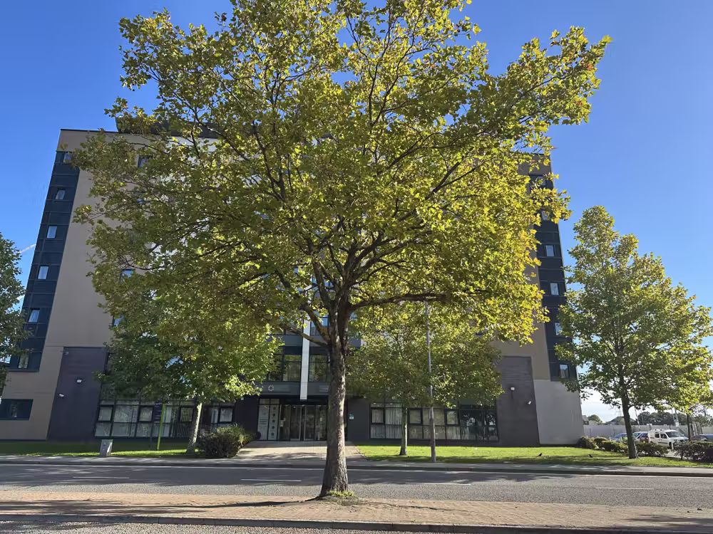 Tree in front of an apartment block
