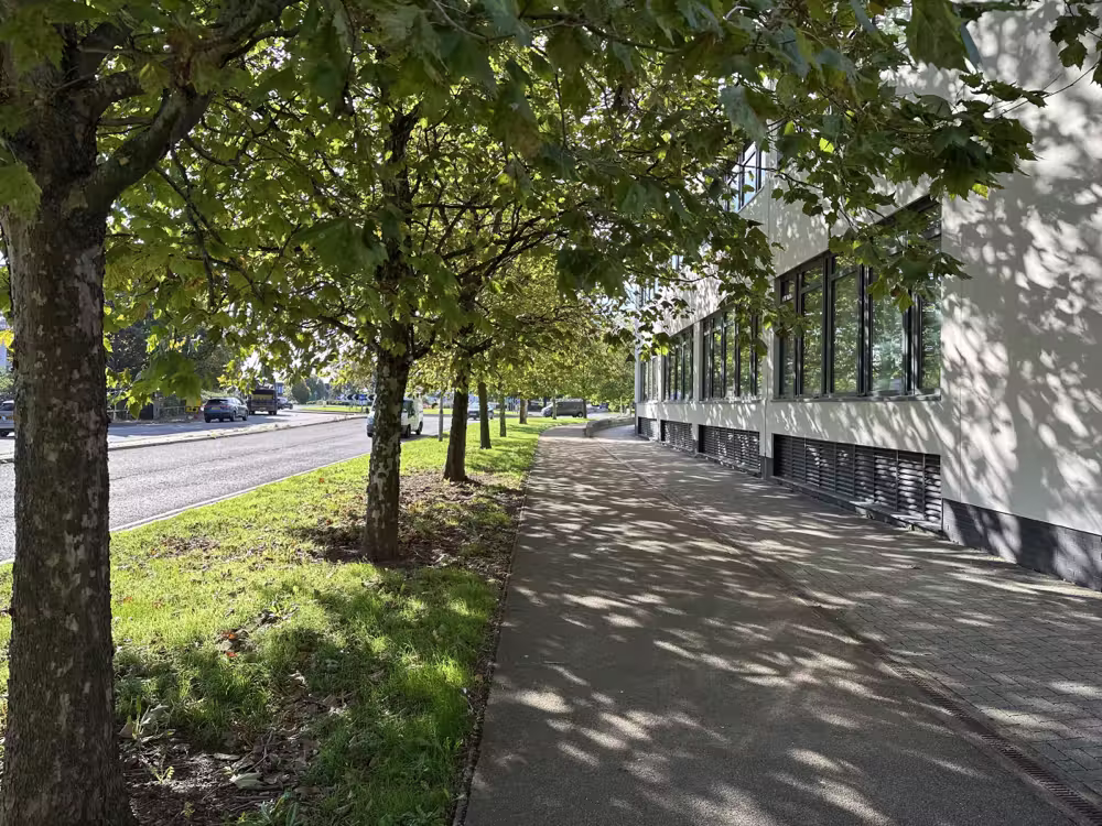Footpath under the trees beside a building
