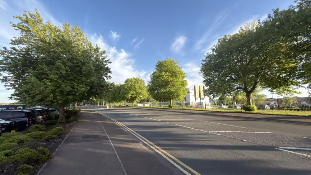 Tree-lined road