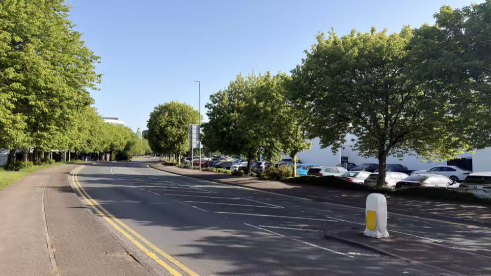 Tree-lined road