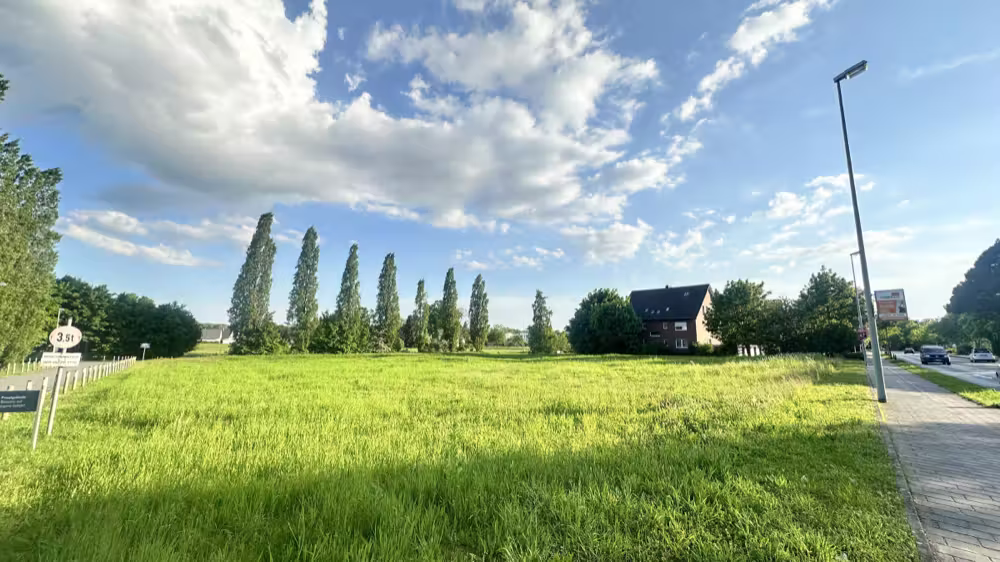 Poplars and clouds over a meadow