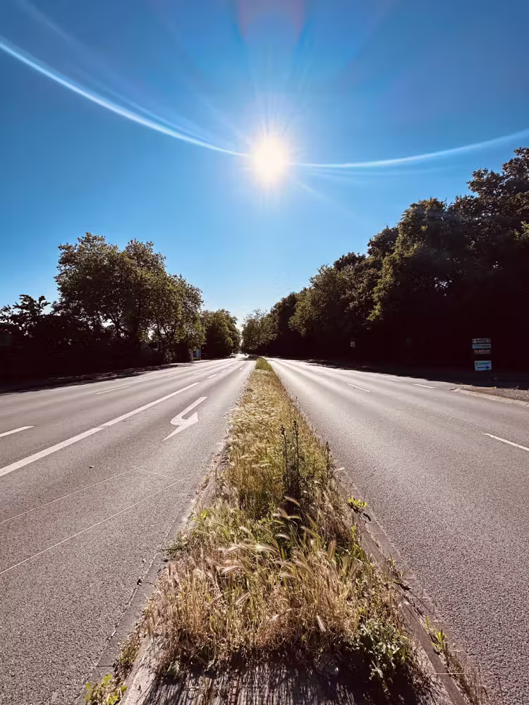 Sun flare over an empty road
