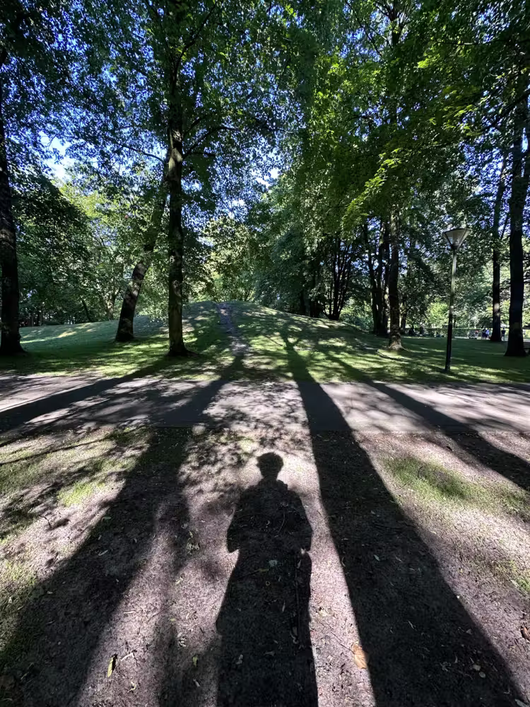 Long tree shadows, and mine