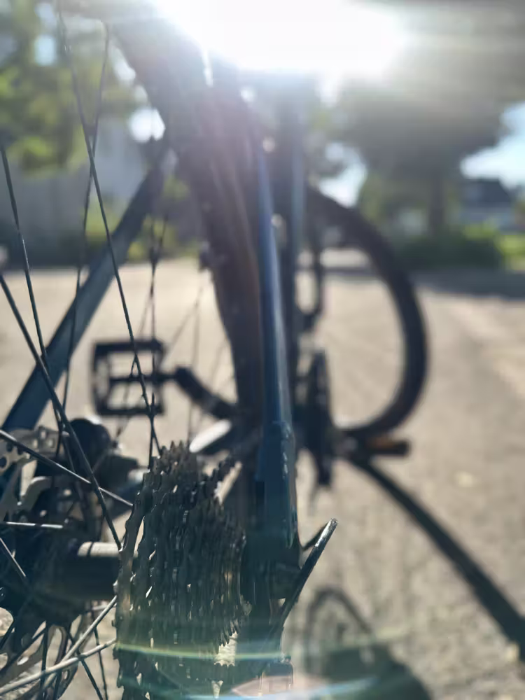 Bicycle wheel against the sun